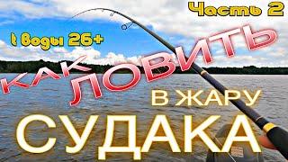 КАК ЛОВИТЬ СУДАКА В ЖАРУ на ОЗЕРЕ. НУЖЕН ЛИ РАННИЙ ВЫЕЗД? t воды 23-27гр. и выше. ПОЧЕМУ ОН НА МЕЛИ?