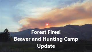 FOREST FIRES!  Beaver & Hunting Camp Update 2024