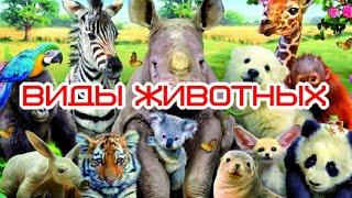 Виды животных Types of animals  Види тварин