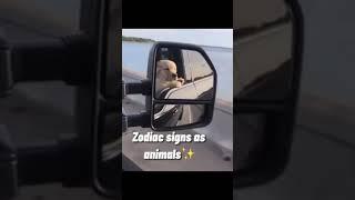 Zodiac signs as animals Part-3