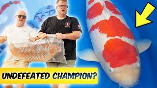 LARGEST Koi Fish Event in the US! **JUMBO KOI**