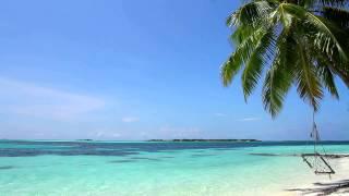 Relaxing Sounds of Waves - 2 Hours - Tropical Beach Relaxation