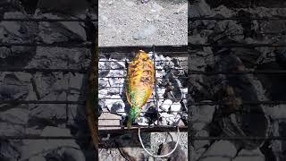 Outdoor cooking part 13 #fypyoutube #lipadblogtv #fish #outdoorcooking #foodblogger #food