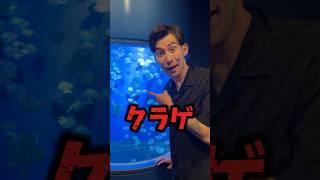79億時間ずっと涙が出る魚ソング#shorts