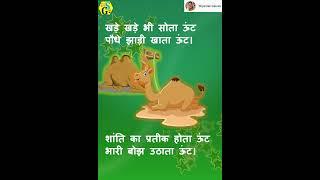 Camel song #oont kavita #youtubeshorts #shyamaligaurav #rhymes#kidssong