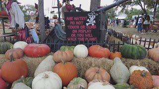 Need Halloween plans? Universal City Pumpkin Patch has you covered!