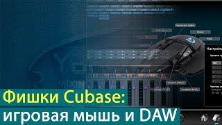 Фишки Cubase: игровая мышь и DAW. Работаем с комфортом [Yorshoff Mix]