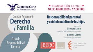 Seminario Permanente de Derecho y Familia I 18 junio 2020