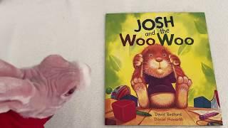 Reading with Mr Bigglesworth - Josh and the Woo Woo