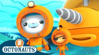 @Octonauts - ‍️ The Great Arctic Adventure ️ | Series 3 | Winter Special! | Cartoons for Kids