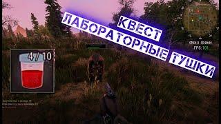 Квест "Лабораторные тушки"  Will to live online