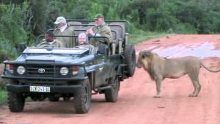 Eastern Cape South Africa