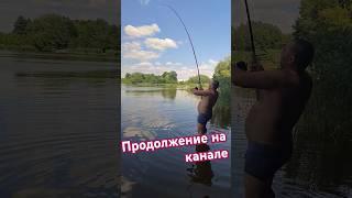 Кто Гнёт Удочку? Зацепилась Огромная РЫБА #2024 #life #рыбалка #fishing #эндуро #carpfishing #carp