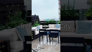 NYC Rooftop Gardening on a Rainy Morning  | city gardening to grow your own food