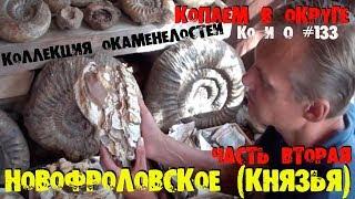 Ко и О #133 НОВОФРОЛОВСКОЕ ОКАМЕНЕЛОСТИ АММОНИТЫ PALEONTOLOGIST COLLECTION OF AMMONITES FOSSILS