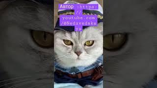 автор -https://youtube.com/@Nedzvedskaya