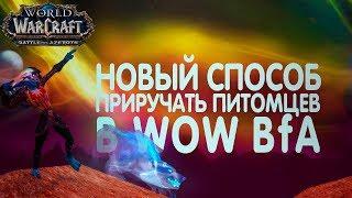 ЛУЧШИЙ способ приручения редких питомцев. БМ Охотник в WoW BfA