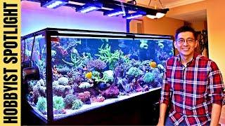 EPIC SALTWATER REEF TANK