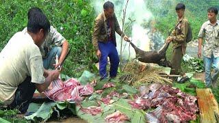 Hunting Wild Boar In The Jungle | Yos hav zoov tua npua teb