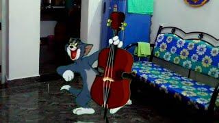 Tom And Jerry  / Green Screen Tom / Funny Cartoon