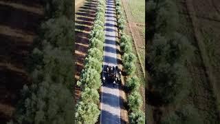 I Cavalcanti della Tradizione