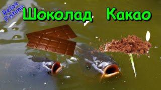 Реакция рыбы на  ШОКОЛАД и КАКАО! Подводная съемка рыбалки. Лещ, карась, плотва.