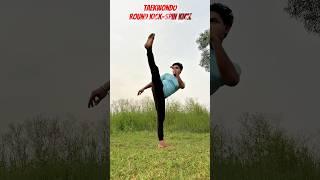 Round Kick-Spin Kick #tutorial #training #kick #martialarts #usa #shortvideo #yt #ytshorts #mma