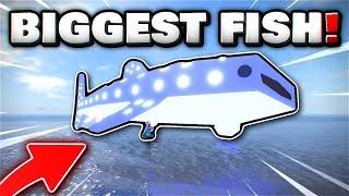 I Spent 300,000$ MAKING THE BIGGEST WHALE SHARK IN FISCH!