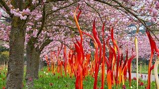 Chihuly at Kew: Reflections on nature