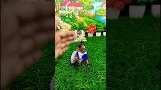 maiya nini aa rahi hai#viralvideo #Radhey Radhey #radhekrishna #hindudeity  #shortvideos