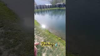 fishing fishing  #trending #shortvideo #fishing #catching #fish fi