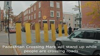 Zebra Crossing Innovation