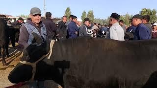 ШАЙМАН МОЛ БОЗОРИ БОЗОРГА УЗИ НИМА БУЛЯПТИ