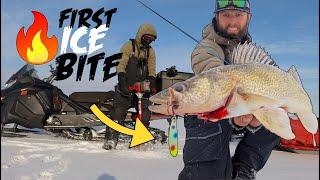 FIRST ICE Fishing Walleye Bite is on FIRE in Shallow!