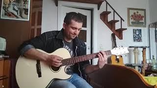 Кино Перемен cover (washburn ea40 series)