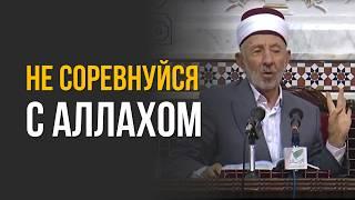 №5 Аллах гарантировал тебе это | В чем смысл жизни? | Шейх Рамадан аль-Буты