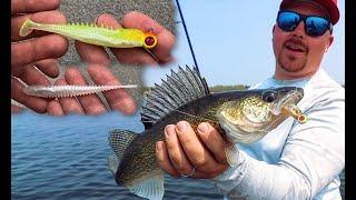 Plastic Minnows & Swimbaits for Walleyes – Underwater Tank Shot (Eye-Candy Baits)