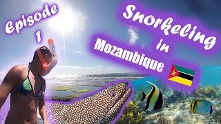 Mozambique   We went snorkeling at King's Pools  Xia-Xia Travel Vlog