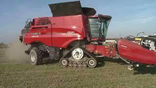 Caseih axial-flow 9250  e MacDon la grande differenza raccolta soia Novara