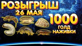  Розыгрыш 1000 голд наживки  26 мая  Русская Рыбалка 4