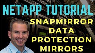 NetApp SnapMirror Data Protection Mirrors (new version)