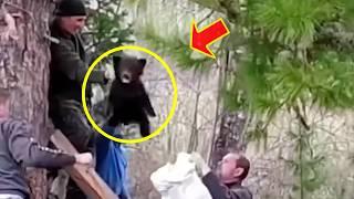 A bear trapped in a tree was rescued by villagers and how it returned the favor