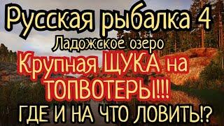 РР4. Ладожское озеро. Крупная ЩУКА на Топвотеры! Шанс на Трофей. Где и на что ловить!?