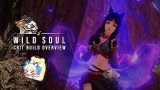 LOST ARK - What does the Wild Soul specialist class do?