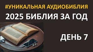 День 7. Библия за год. Библейский ультрамарафон портала «Иисус»