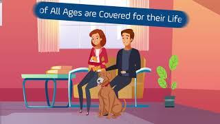 United Pet Care Video Direct Bill