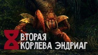 Прохождение The Witcher 2: Assassins of Kings #8 - Вторая королева эндриаг