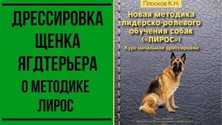 Дрессировка щенка ягдтерьера. О методике ЛиРОС