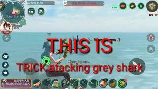 TRICK KILL GREYSHARK