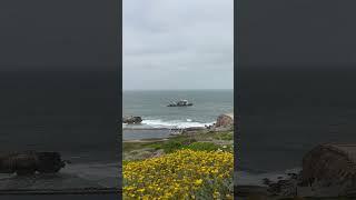 Lands End park #sanfrancisco #ruins #hiking #california #roadtrip #landsend #shorts #outdoors 🩶